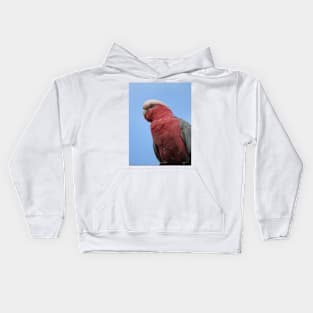 Galah Kids Hoodie